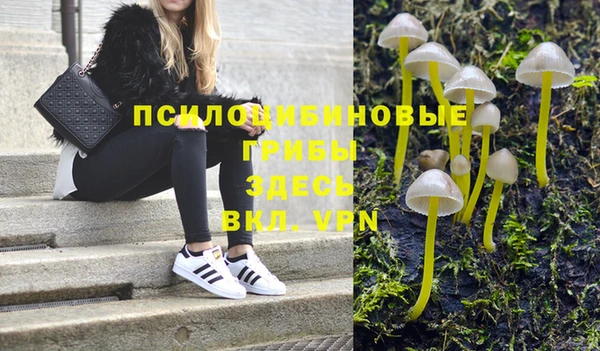 2c-b Сафоново
