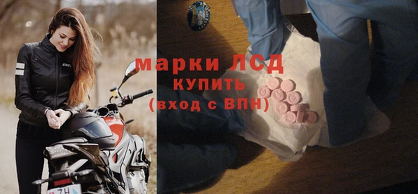 хмурый Сатка