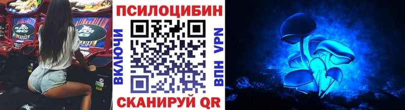 Псилоцибиновые грибы Cubensis  ссылка на мегу сайт  Игарка  закладка 